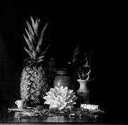 Still_life_with_pineapple
