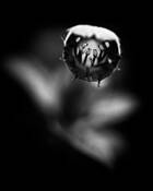 Watching_you
