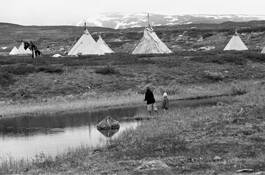 Reindeer_herders_tepees