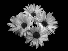 Untitled_2