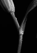 Untitled_4