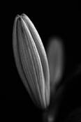 Untitled_5