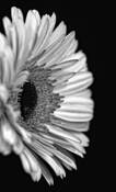 Untitled_7