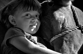 County_fair__4