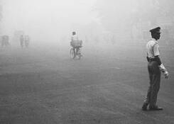 Untitled_11