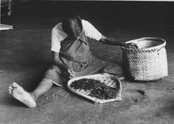 Untitled_12