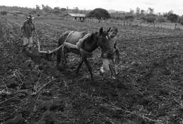 Plowing