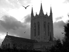Cathedral_birds