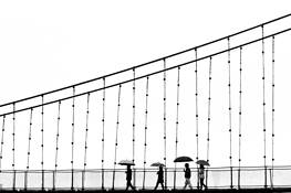 4_umbrellas