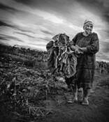 Untitled_1