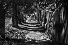 Untitled_3