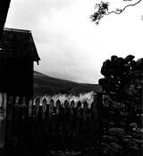 Fence