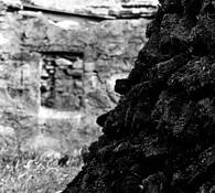 Peat