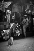 Temple_markets