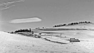 Bridesville_ranch