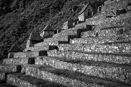 Terraces