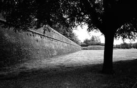 Lucca
