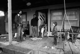 Racoon_porch_tif