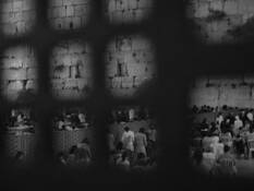 Web_of_sorrows