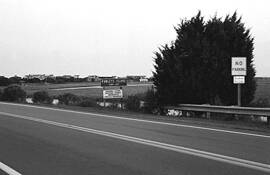 Pawleys_island