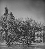 Wawel_hill_2