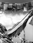 Chiu_gompa_monastery