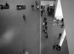 Moma