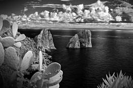 Capri