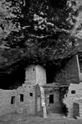 Spruce_house__1