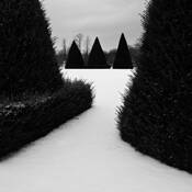 Parc_de_saint-cloud