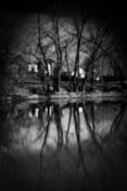 Trees_and_stream