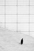 A_couple