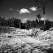 Forest_dream_road