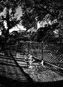 Untitled_9