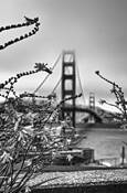 Springtime_at_the_gate