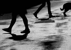 Crossing_3