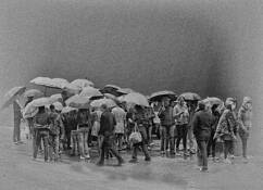 Fog_7
