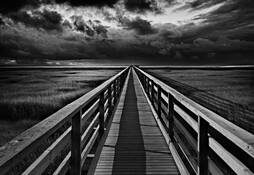 Into_the_beyond