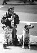 The_dalmatian_charmer