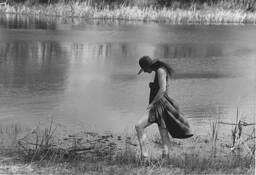 Wildlife_dam