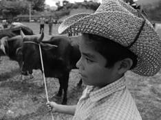 Cowboy
