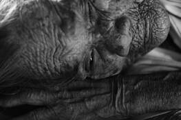 Centenarians_8