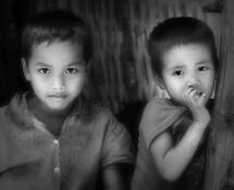 Shy_boys