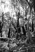 Untitled_3