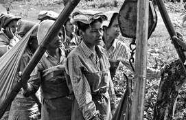 Weighing_the_tea_harvest