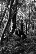 Untitled_5