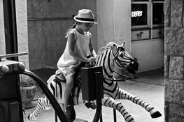 Zebra_rider