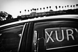 Purloined_1