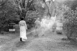 Beekeeping
