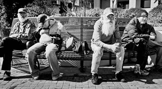 Street_survival_11